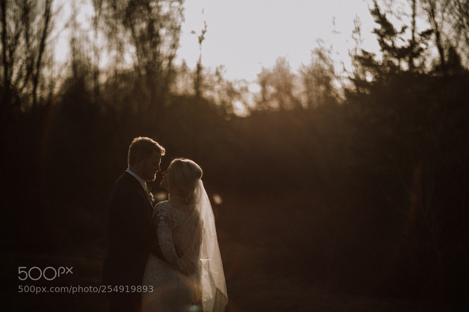 Canon EOS 5D Mark IV sample photo. The laurel house packing photography