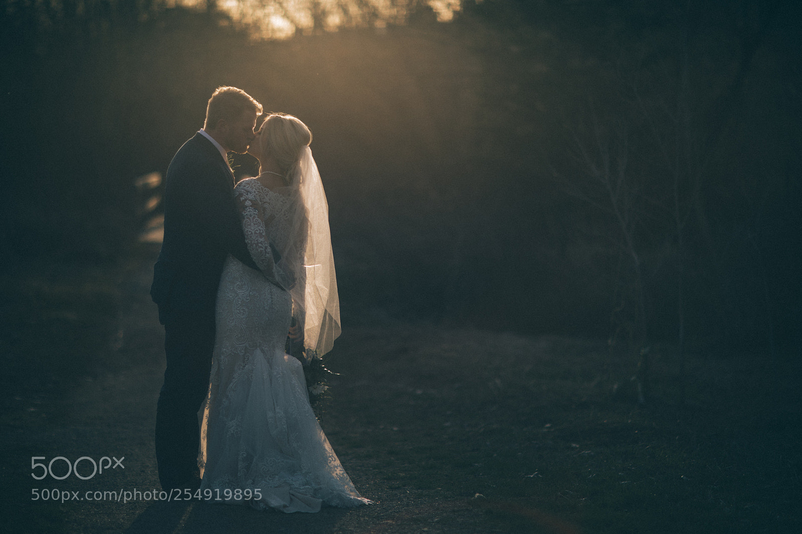 Canon EOS 5D Mark IV sample photo. The laurel house packing photography