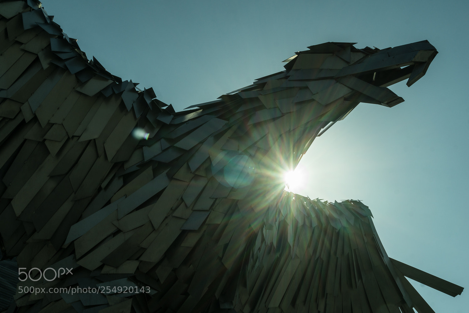 Sony a6000 sample photo. Eagle photography