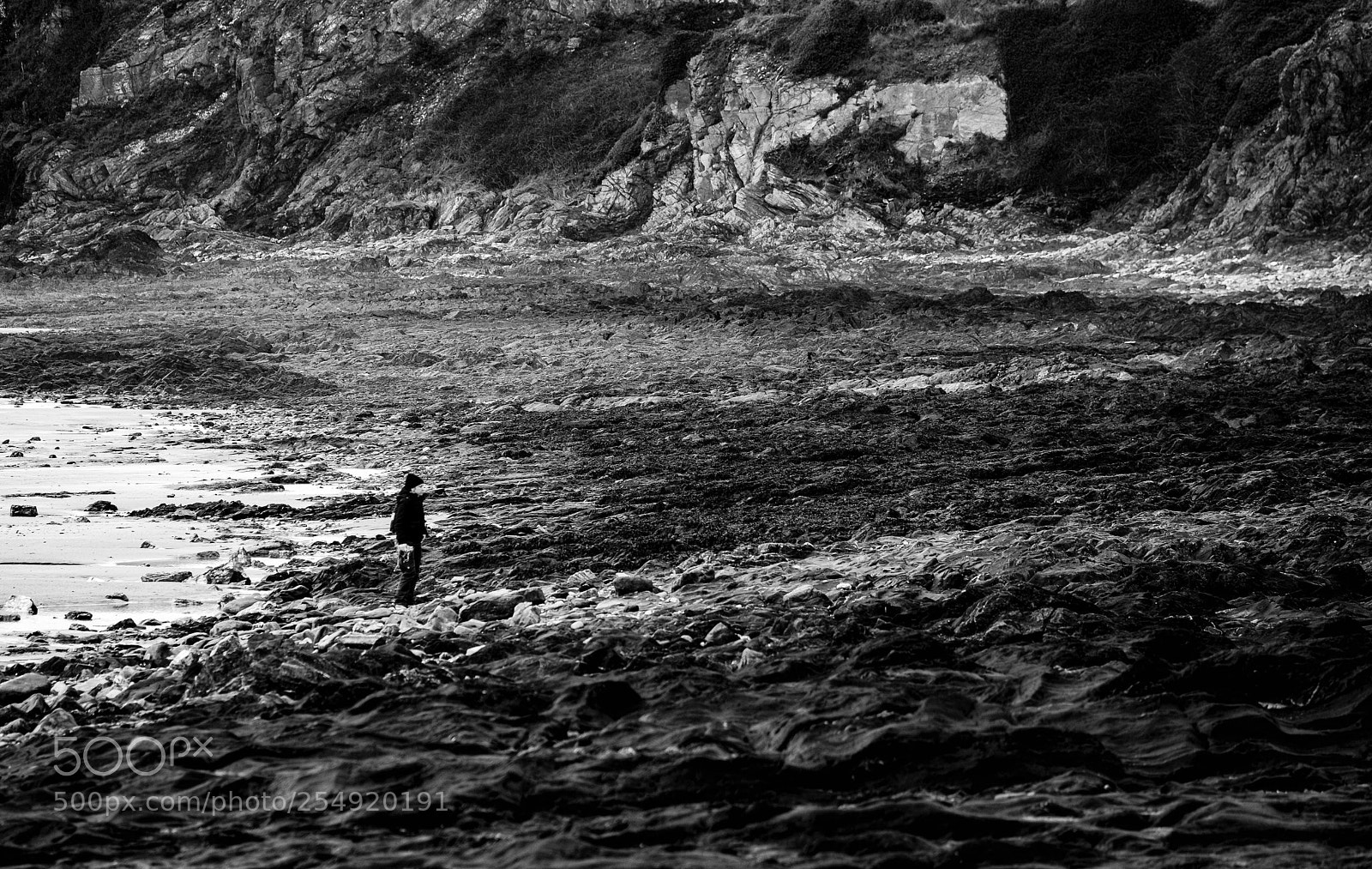 Fujifilm X-T2 sample photo. Rocky beach photography