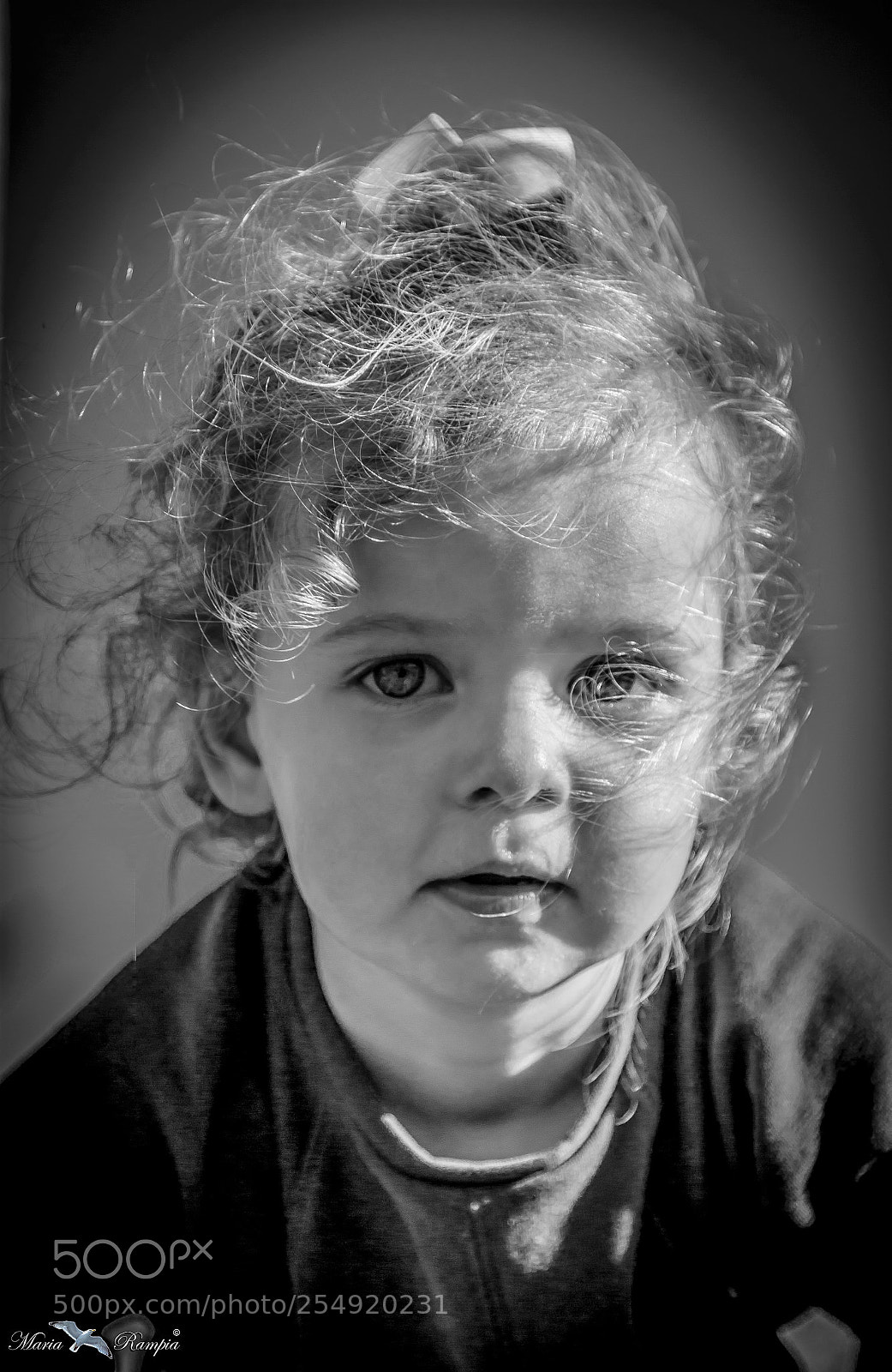 Canon EOS 70D sample photo. Hermione photography