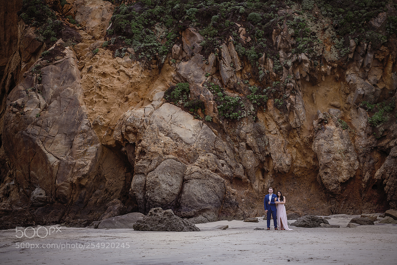 Nikon D850 sample photo. Untitled photography