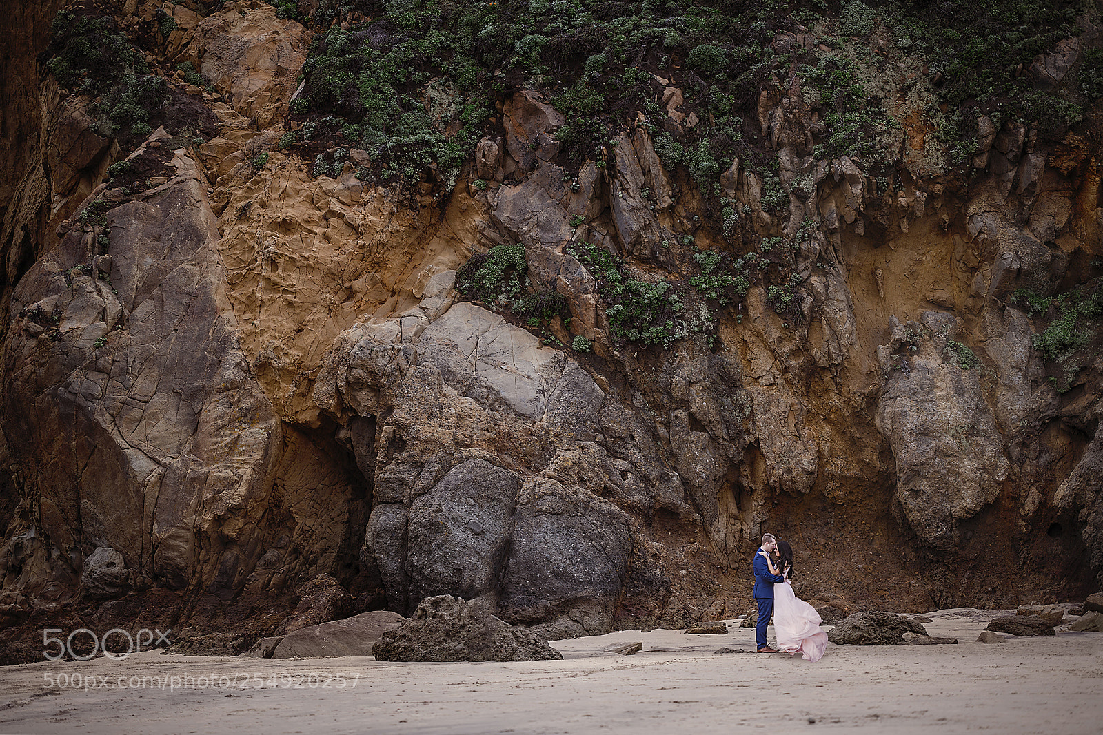 Nikon D850 sample photo. Untitled photography