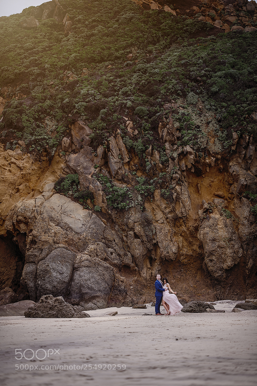 Nikon D850 sample photo. Untitled photography