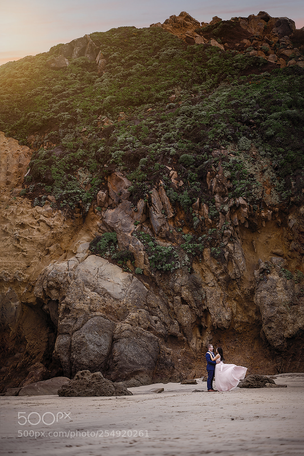 Nikon D850 sample photo. Untitled photography