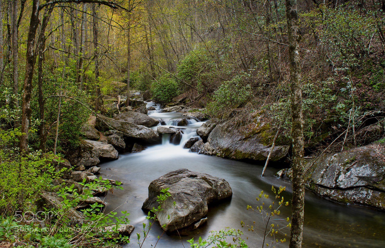 Nikon D7100 sample photo. Morning on the talluah photography