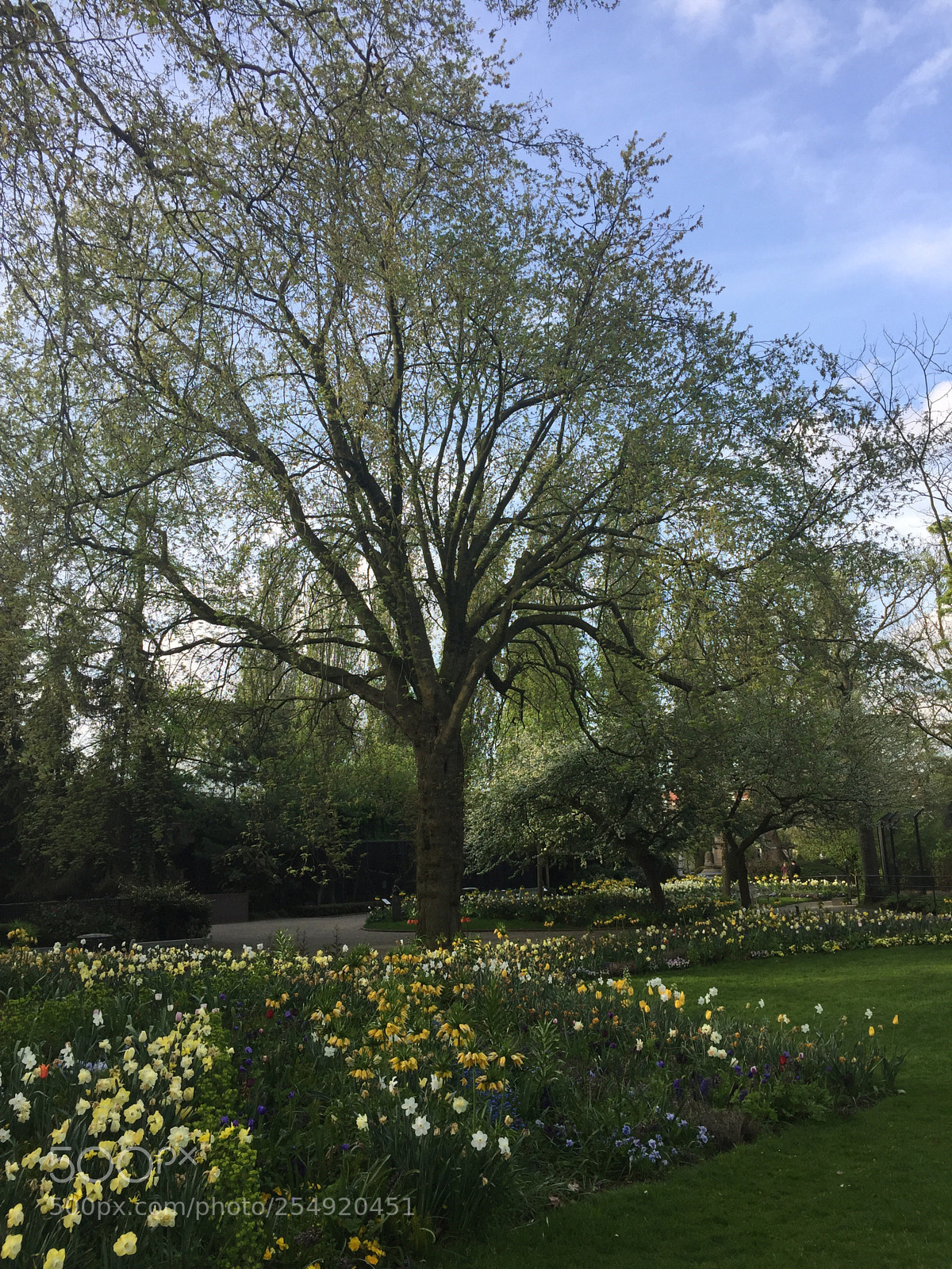 Apple iPhone 6 sample photo. Amsterdam urban life. photography