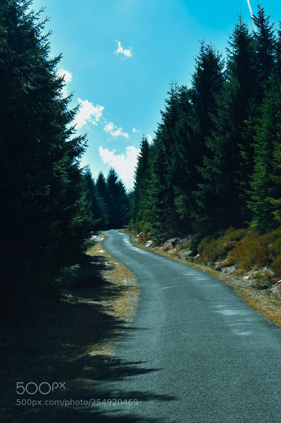Nikon D3300 sample photo. The winding road photography