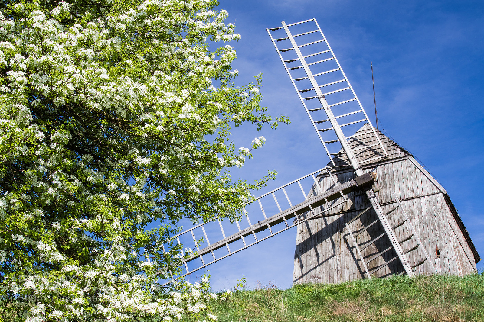 Canon EOS 7D Mark II sample photo. Old mill photography
