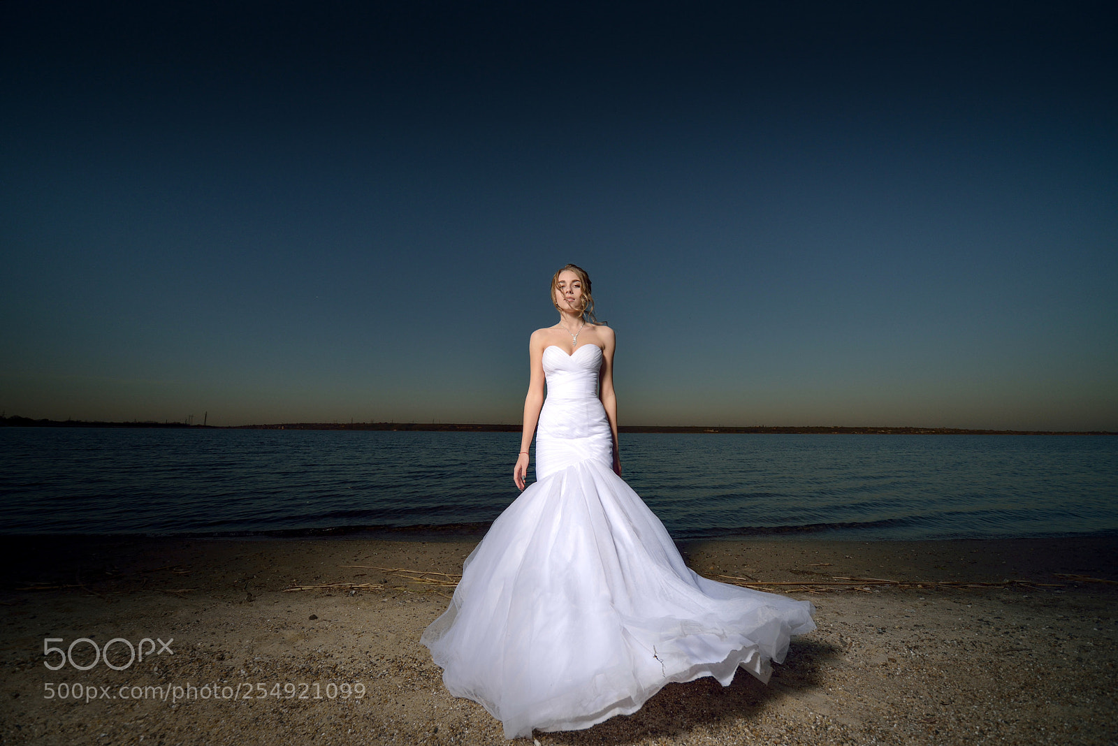 Nikon D800 sample photo. Untitled photography