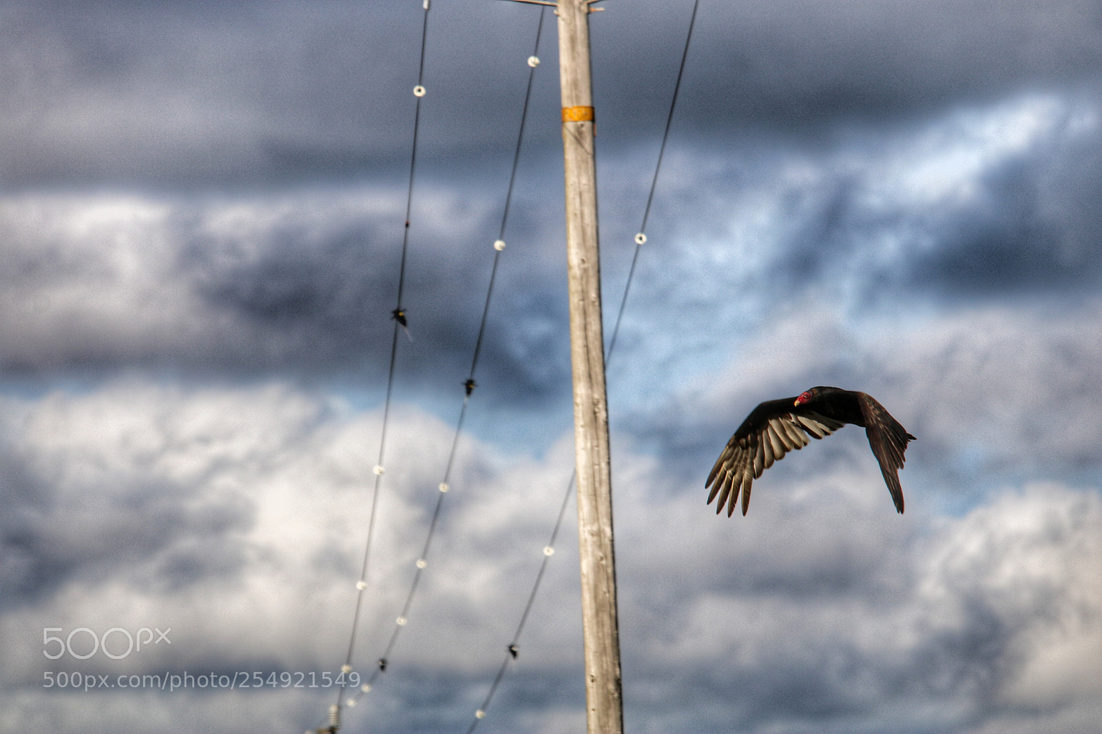 Canon EOS 750D (EOS Rebel T6i / EOS Kiss X8i) sample photo. Rider on the storm photography