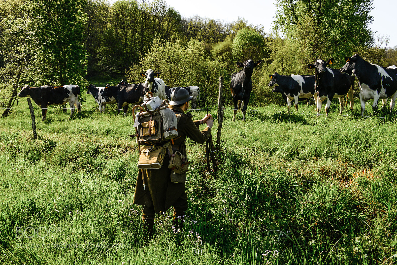 Nikon D800 sample photo. Le soldat et les photography