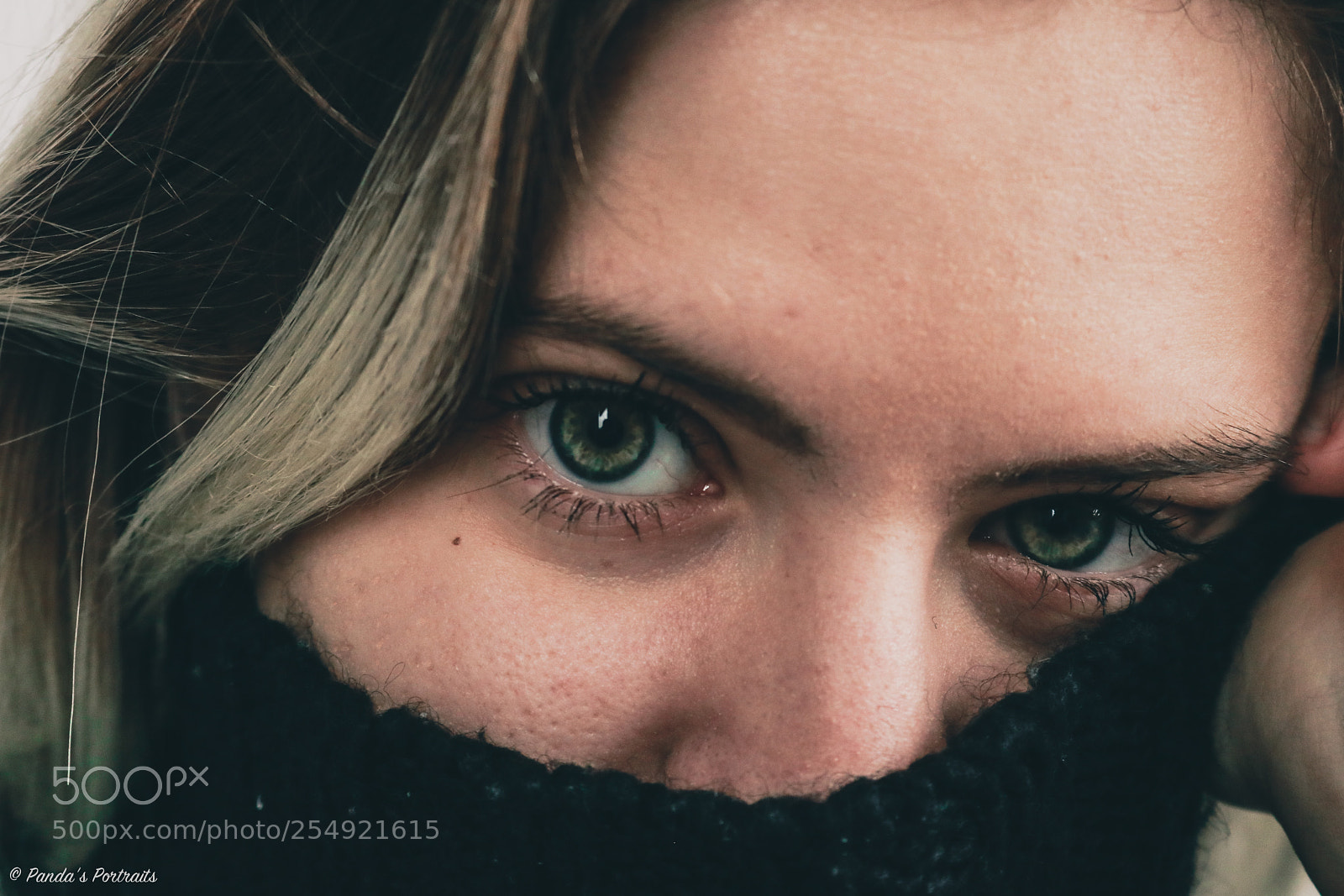 Canon EOS 80D sample photo. Blue eyes photography