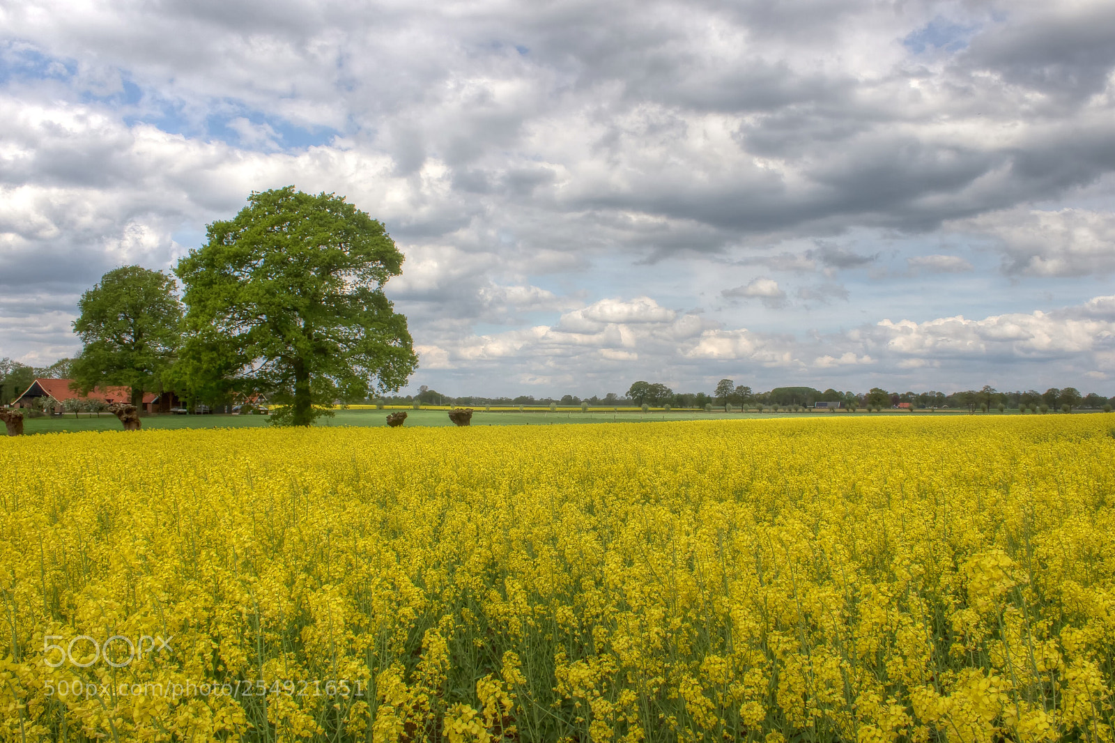 Canon EOS 7D Mark II sample photo. Beautiful landscape in zenderen photography