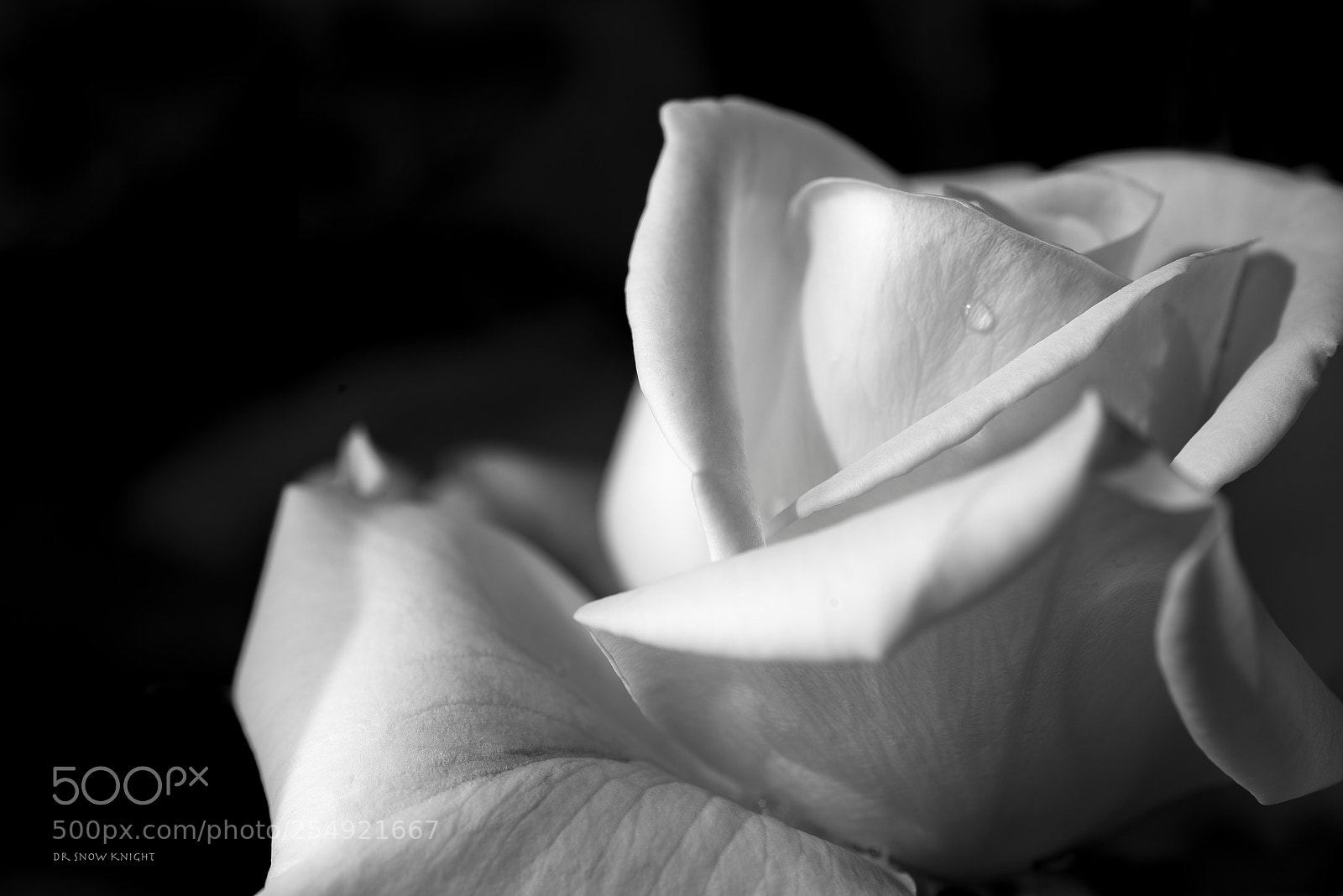 Nikon D810 sample photo. 23.jpg photography