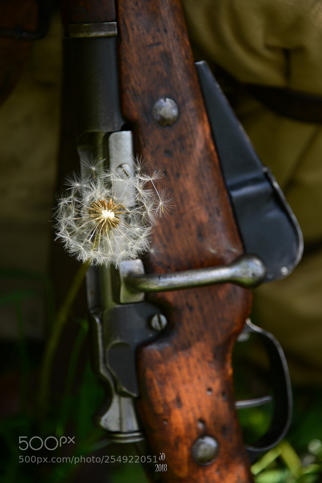 Nikon D800 sample photo. La fleur au fusil... photography