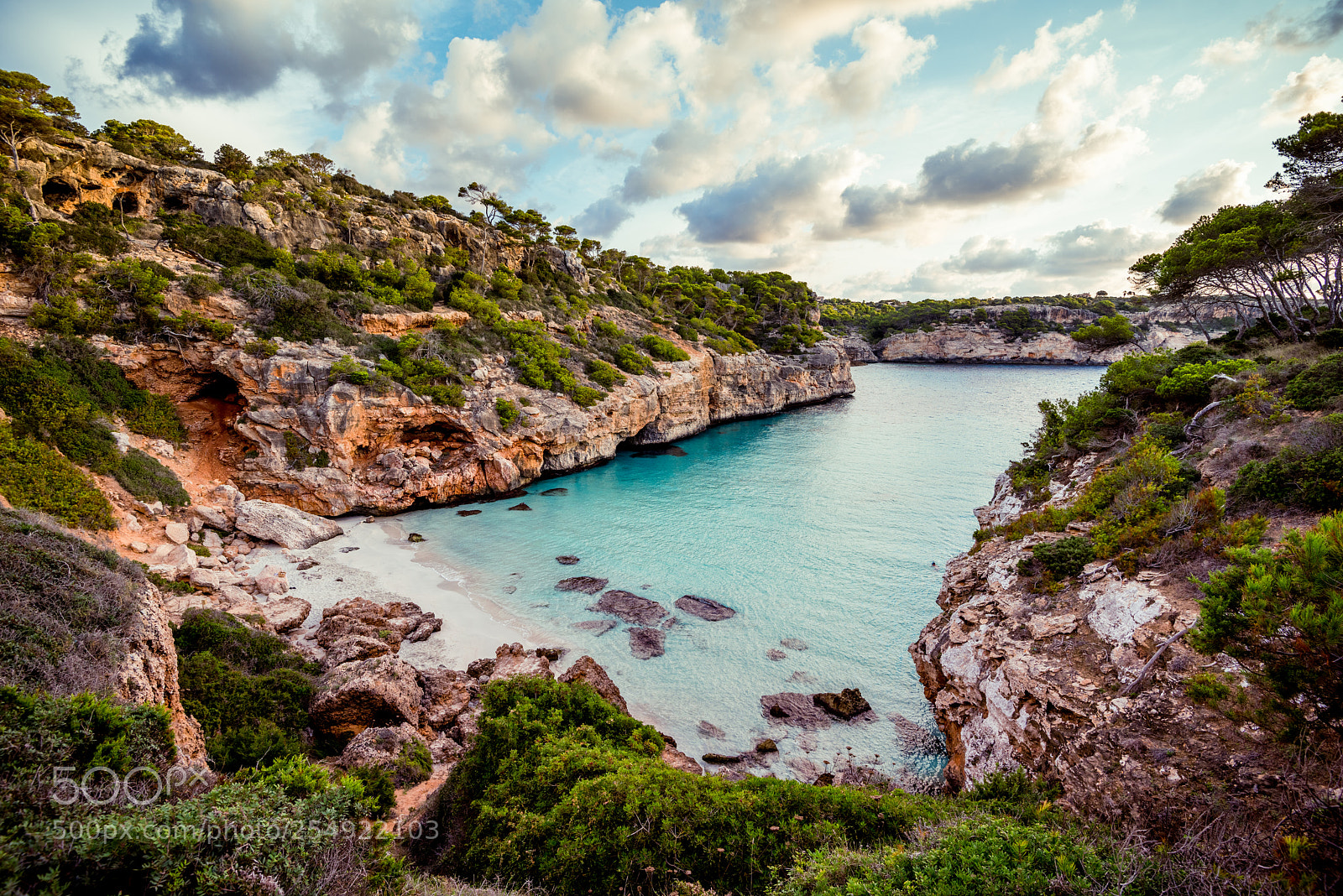 Nikon D810 sample photo. [ beautiful beach ] photography