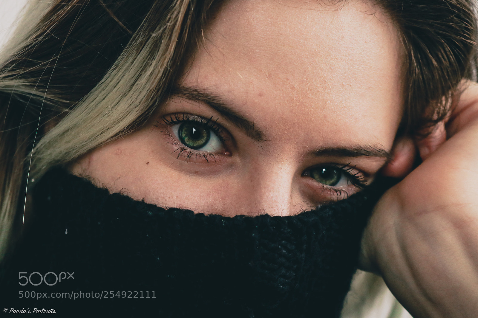 Canon EOS 80D sample photo. Blue eyes pt. 2 photography