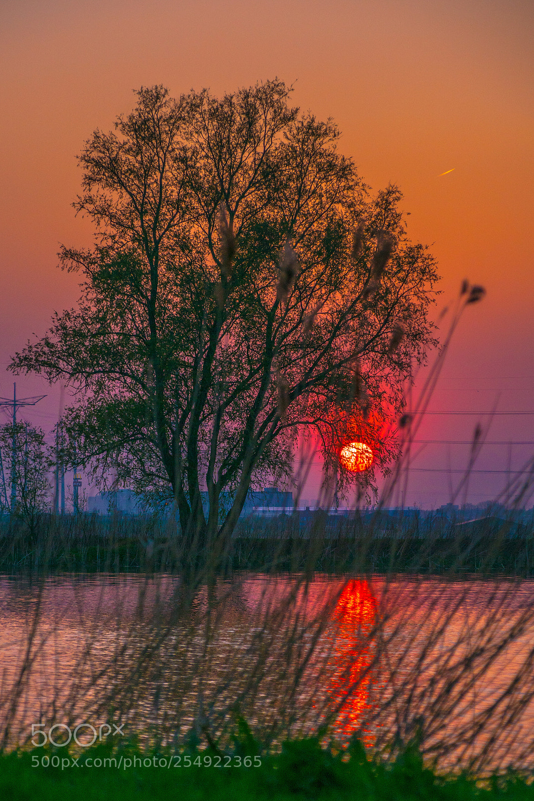 Sony ILCA-77M2 sample photo. Sunset.... orange glow.... photography