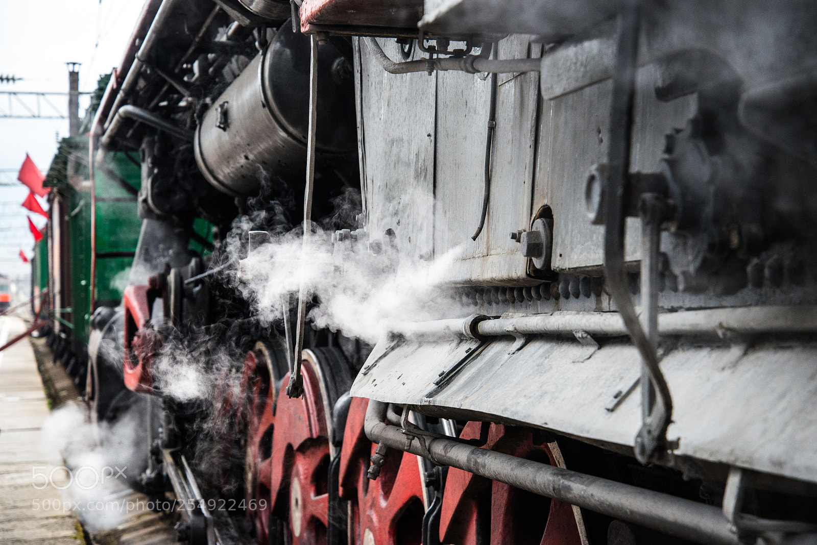 Nikon D610 sample photo. Steam photography