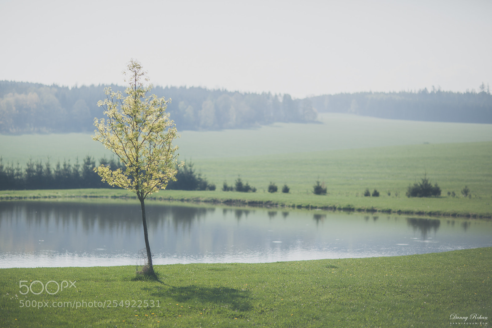Canon EOS 5D Mark II sample photo. Spring spring photography
