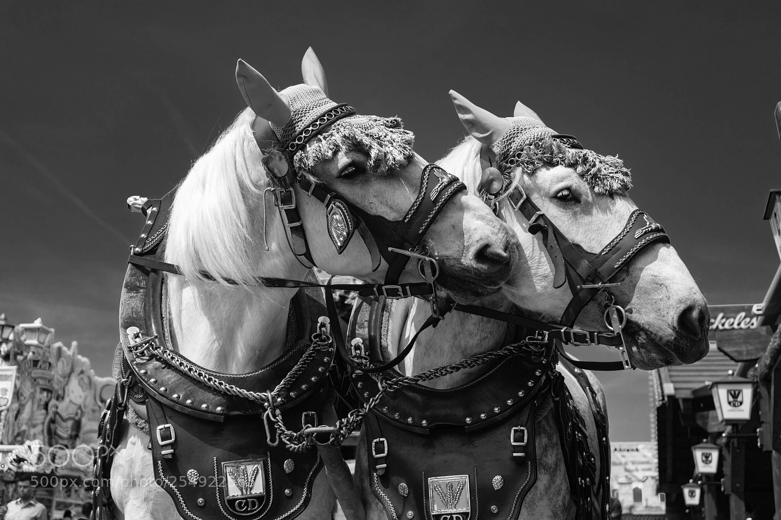 Sony a7 sample photo. Job photography