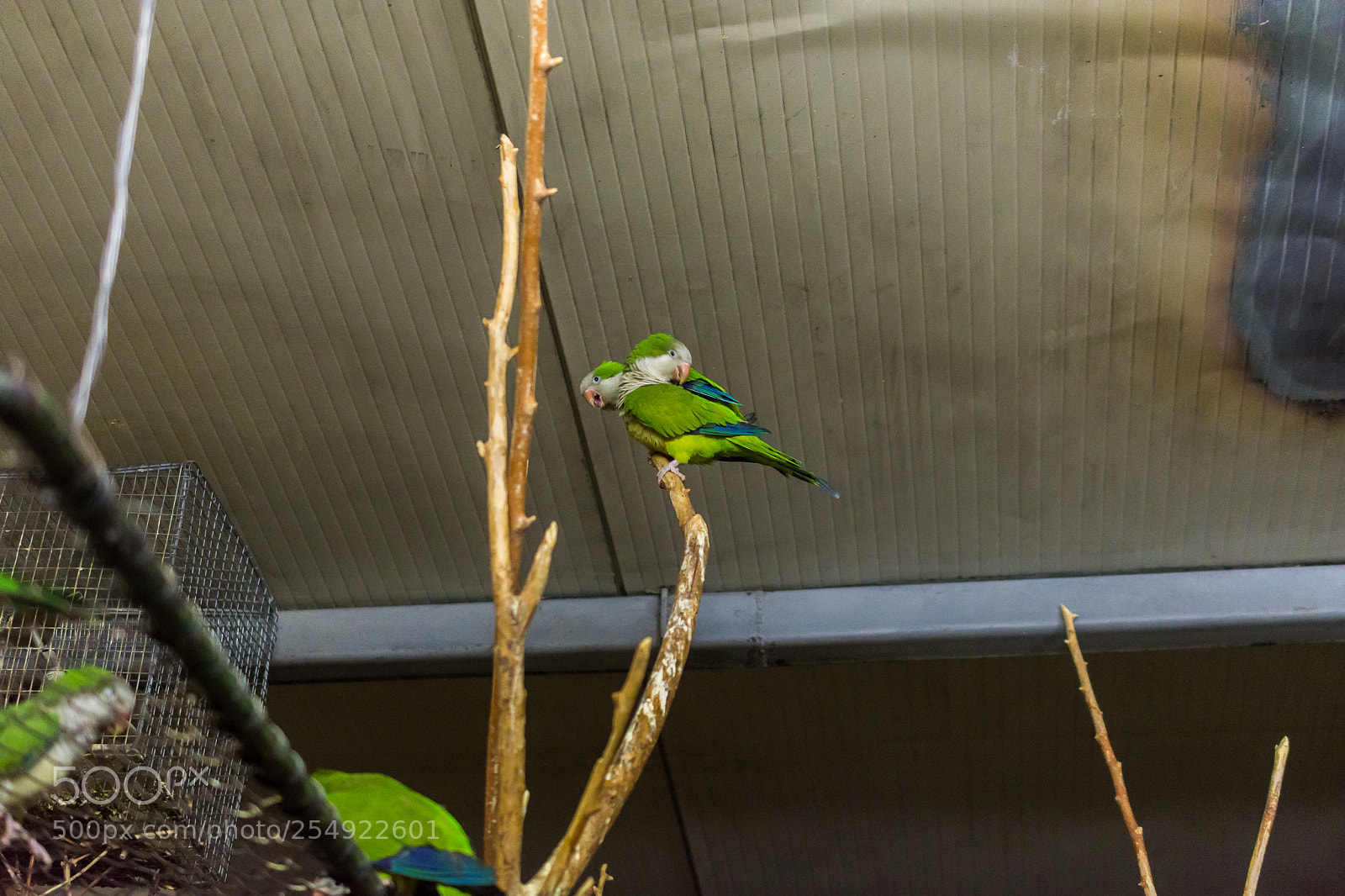 Nikon D7200 sample photo. Where is the photographer? photography