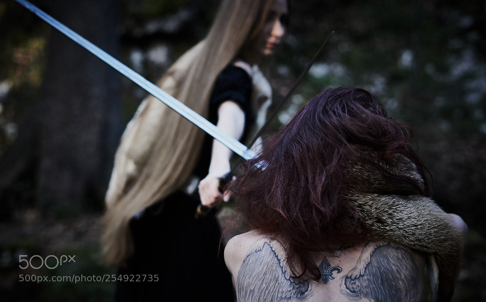 Sony a6000 sample photo. Fight of the vikings photography