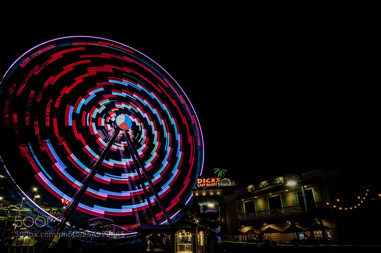 Nikon D850 sample photo. Snail in the ferris photography