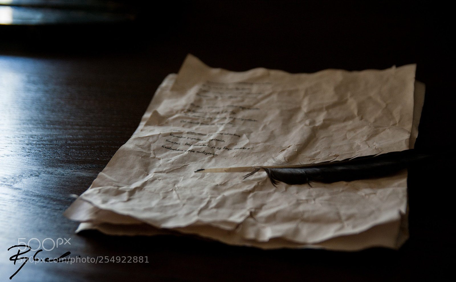 Sony Alpha DSLR-A350 sample photo. Feather photography