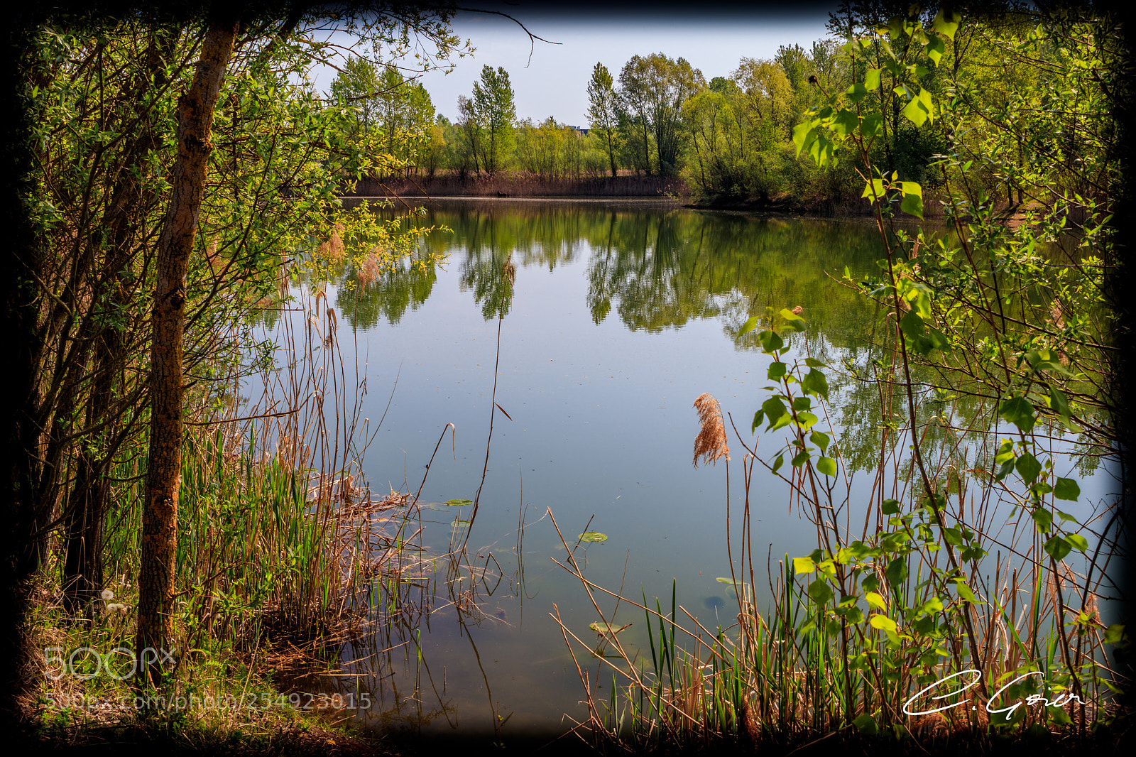 Canon EOS 77D (EOS 9000D / EOS 770D) sample photo. Hidden pond photography
