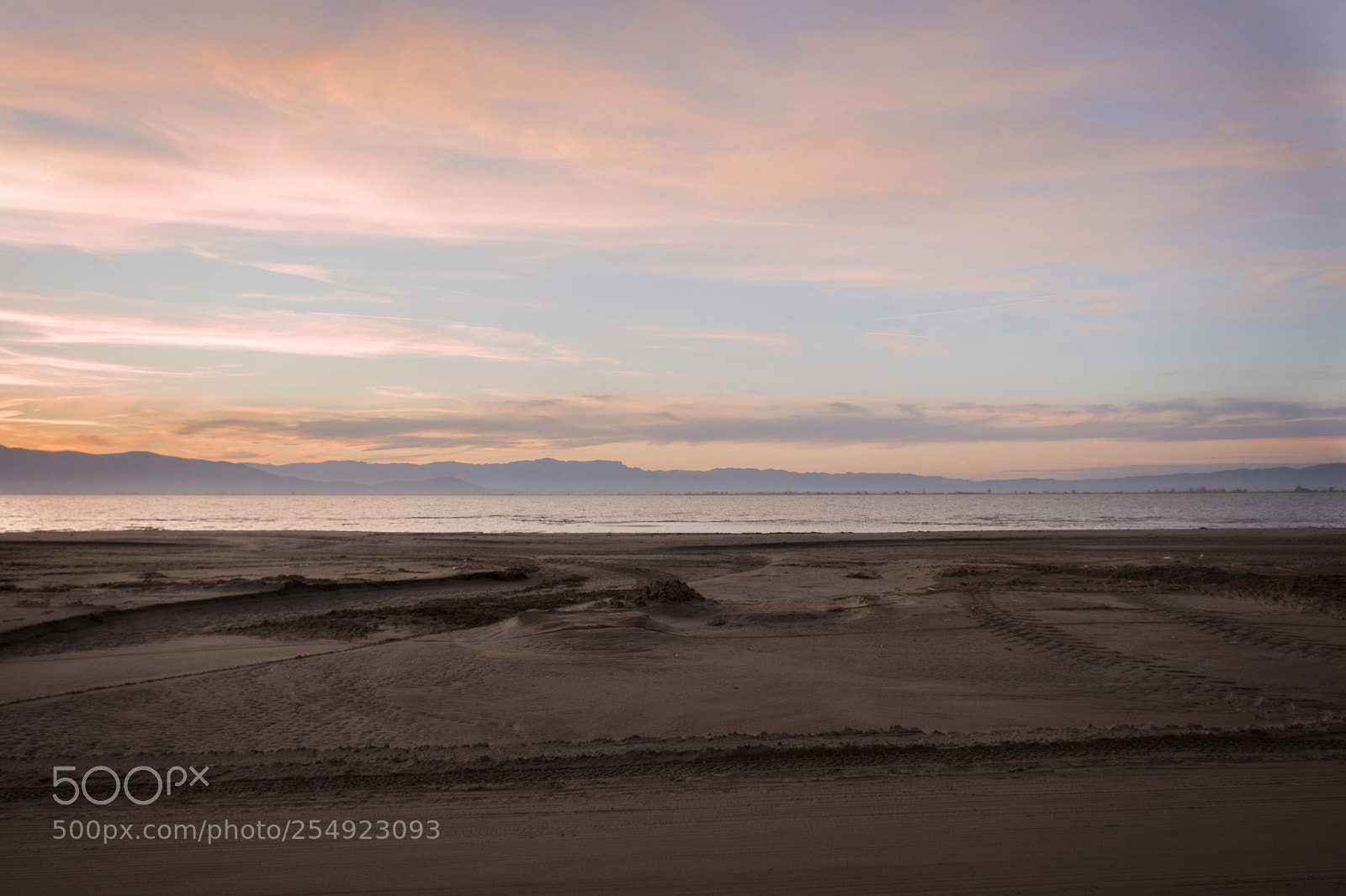 Fujifilm X-T20 sample photo. Marked nature. naturaleza marcada photography
