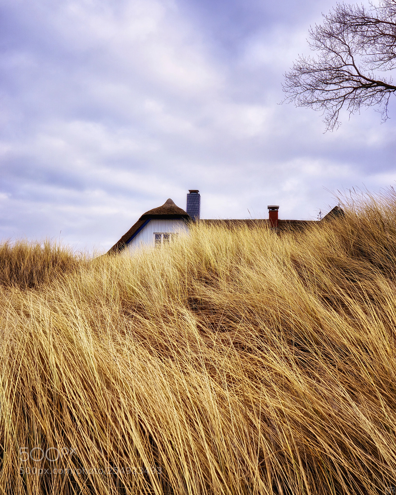 Sony a6000 sample photo. Haus hinter den d photography