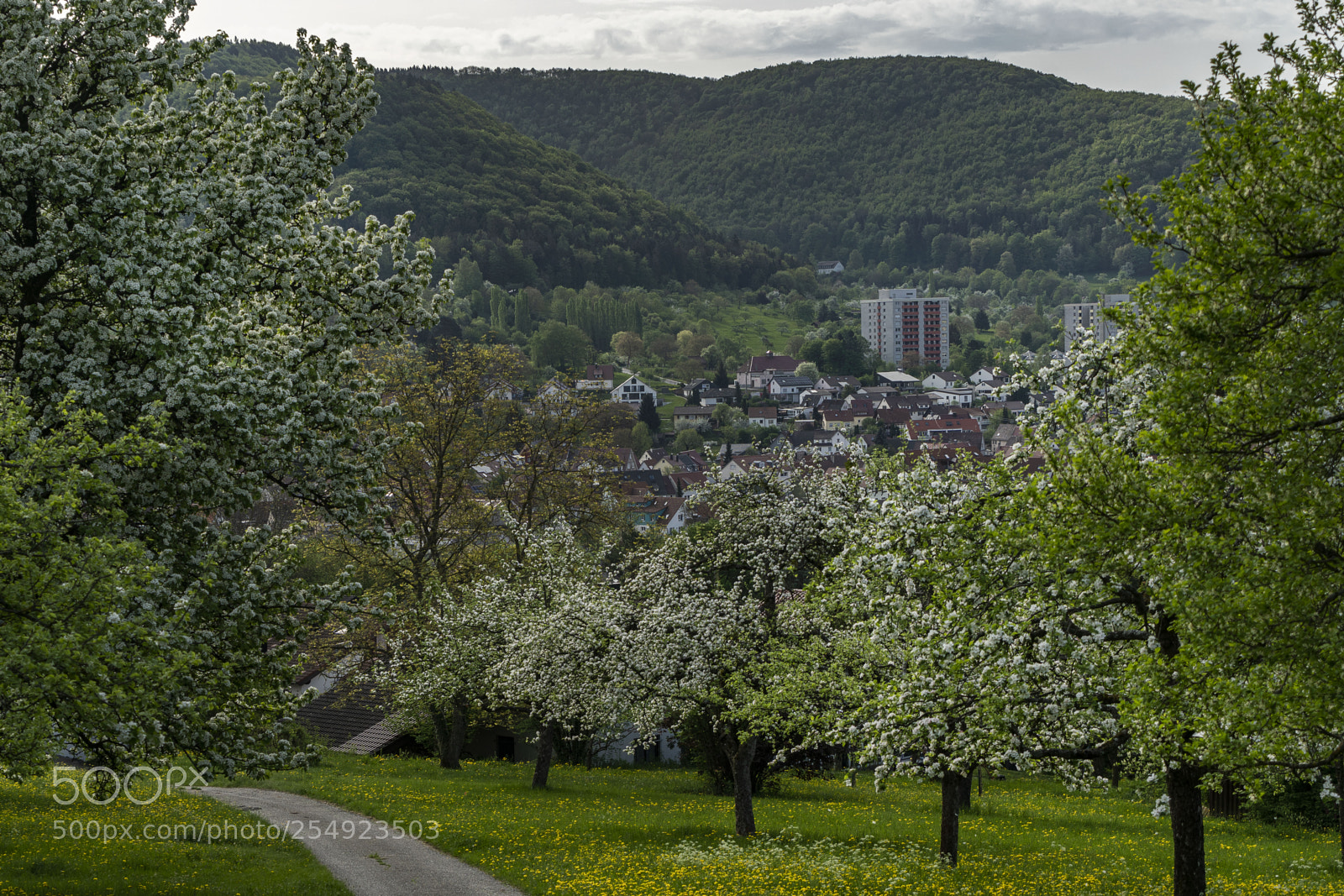 Sony a6300 sample photo. Eningen 230418-018 photography