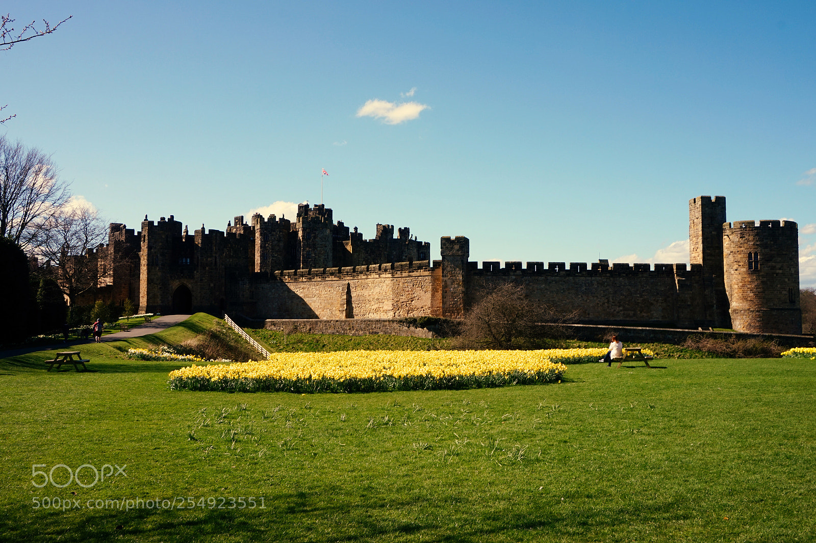 Sony Alpha a5000 (ILCE 5000) sample photo. Alnwick photography
