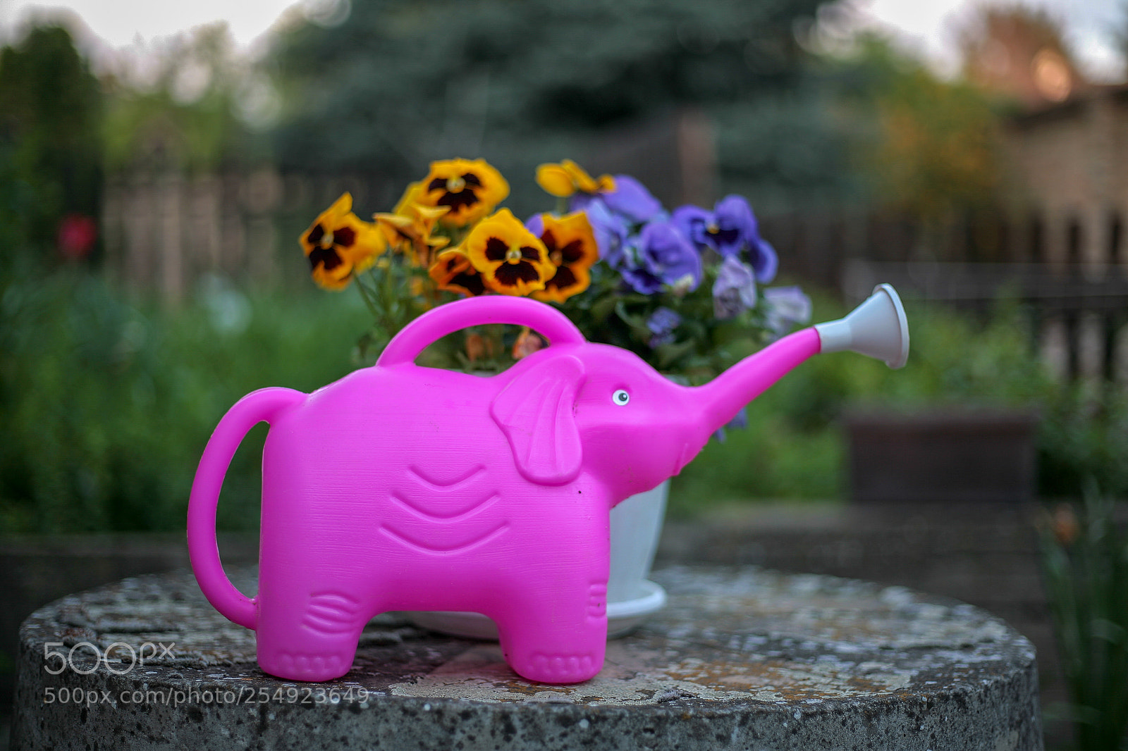 Canon EOS 5D sample photo. Pink photography