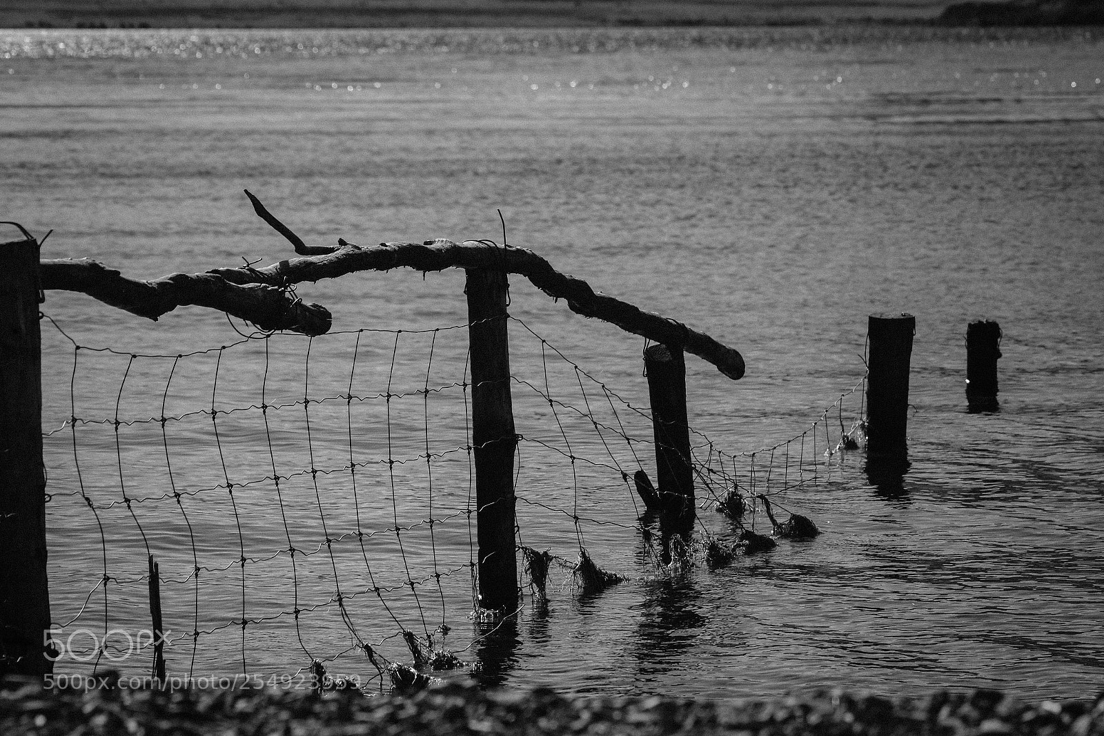 Canon EOS 7D Mark II sample photo. Last fence photography
