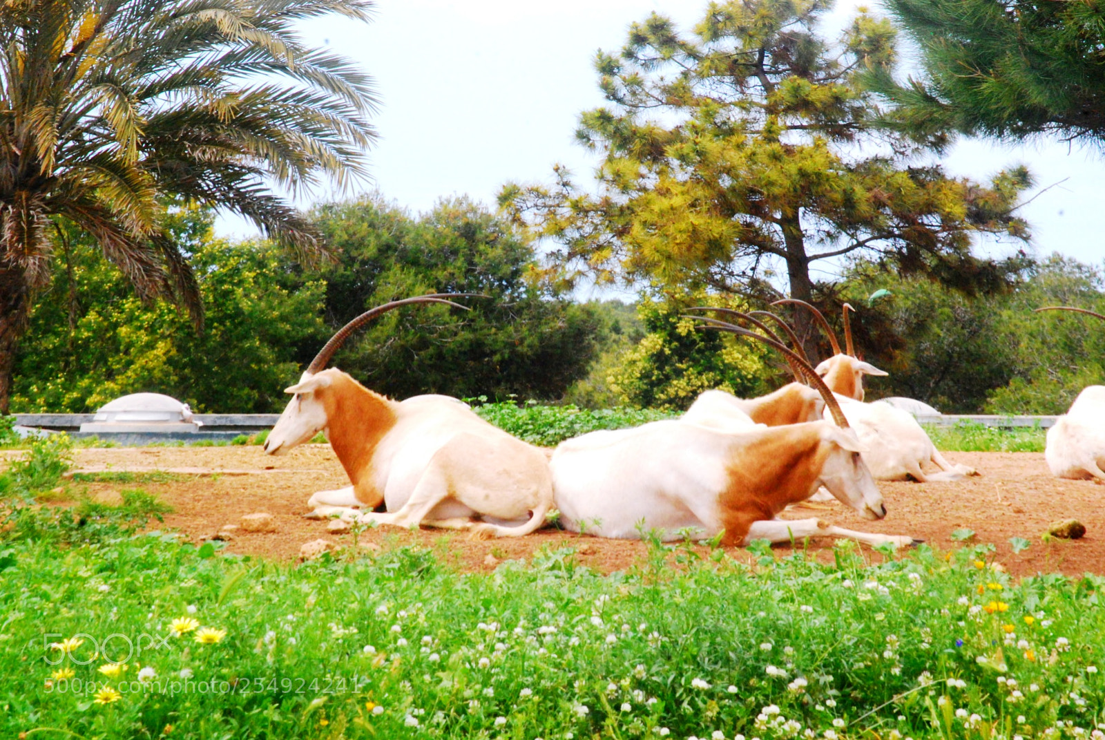Nikon D40X sample photo. Untitled photography