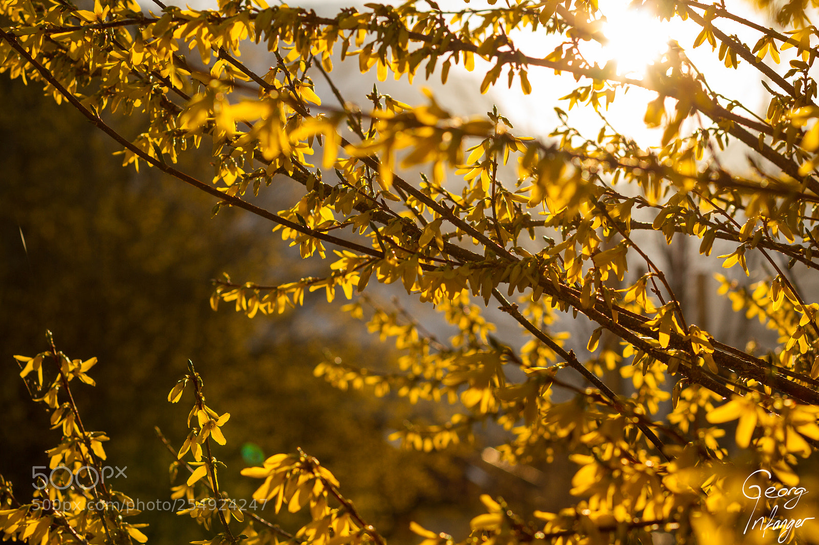 Canon EOS 7D sample photo. Spring photography