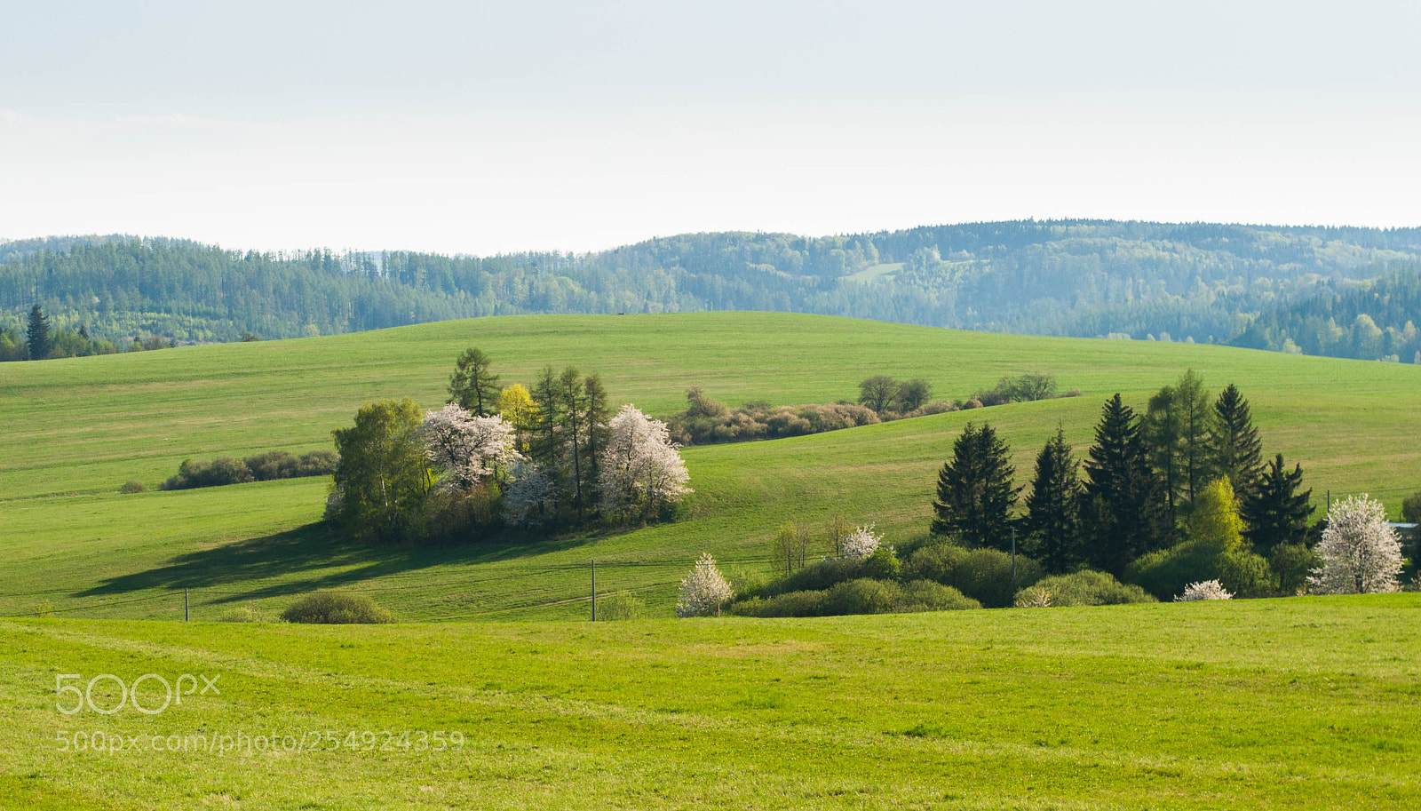 Nikon D5000 sample photo. Spring photography