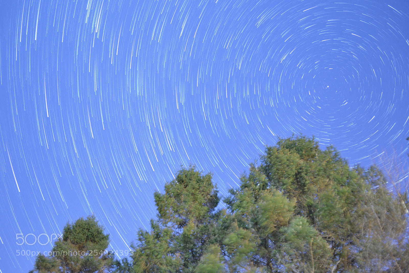 Nikon D3100 sample photo. Falling stars photography