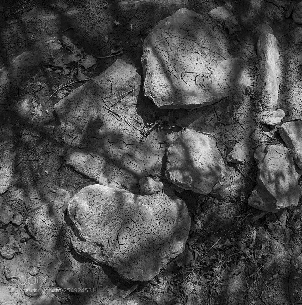 Fujifilm GFX 50S sample photo. River stones photography