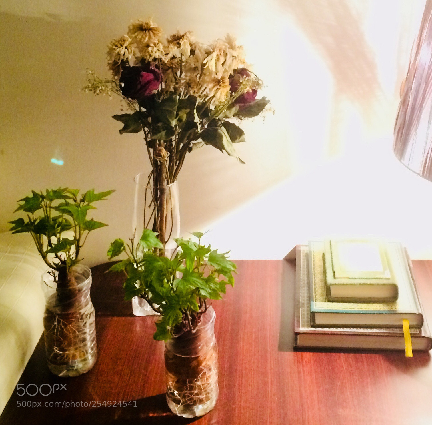 Apple iPhone 5s sample photo. Untitled photography