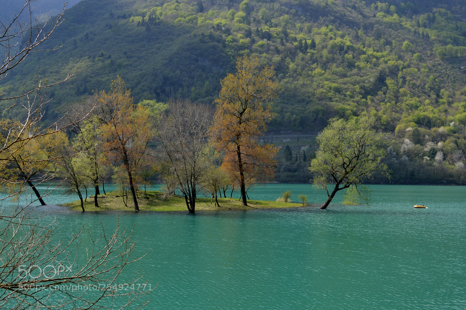 Nikon D3100 sample photo. Colore smeraldo photography