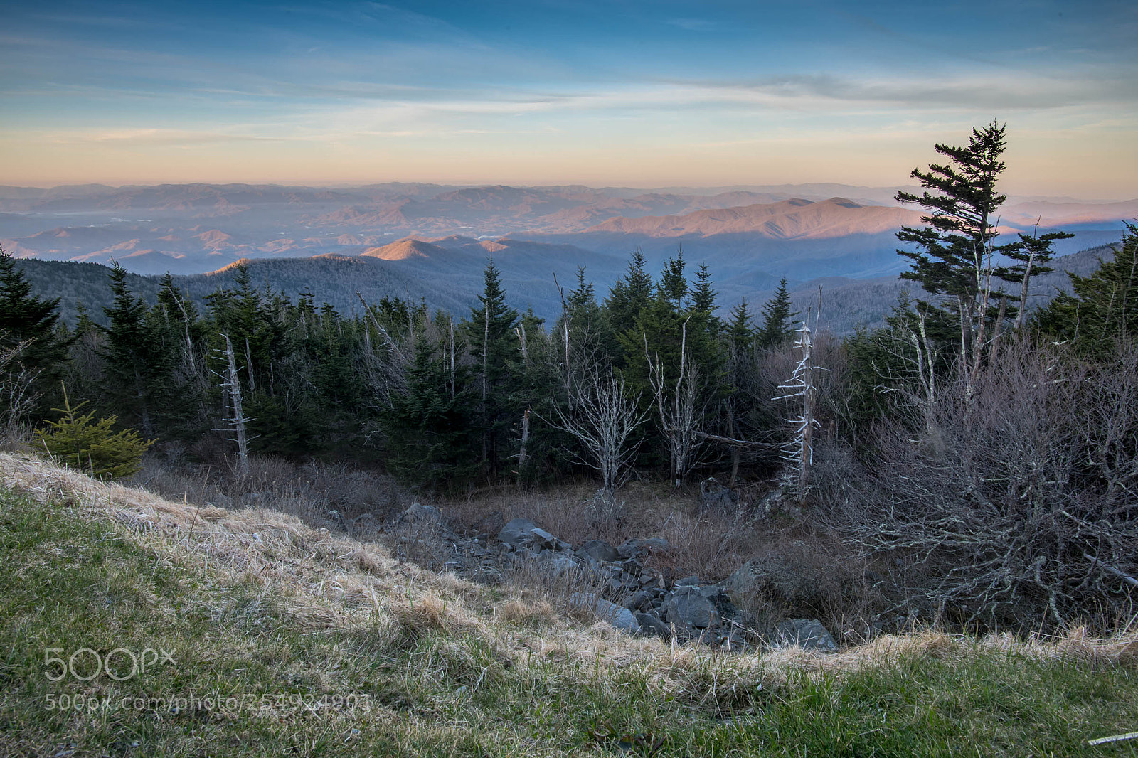 Nikon D850 sample photo. Clingman's dome photography