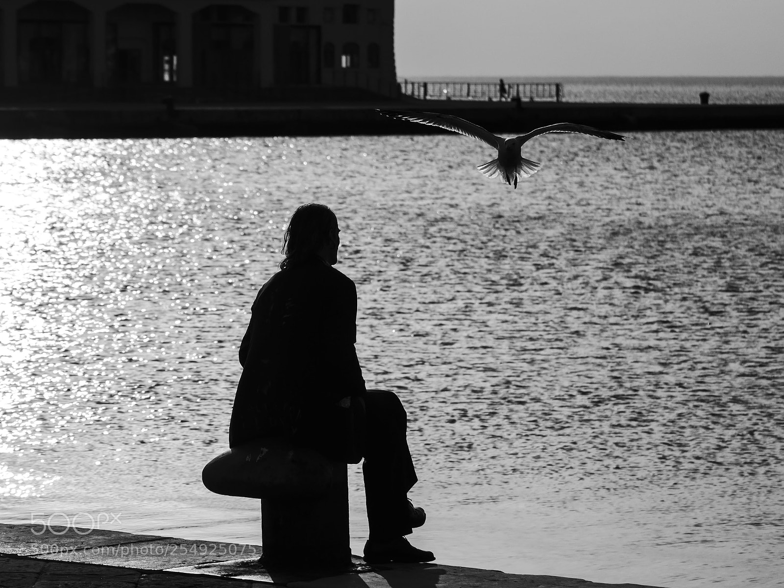 Nikon D7000 sample photo. The man and seagull photography