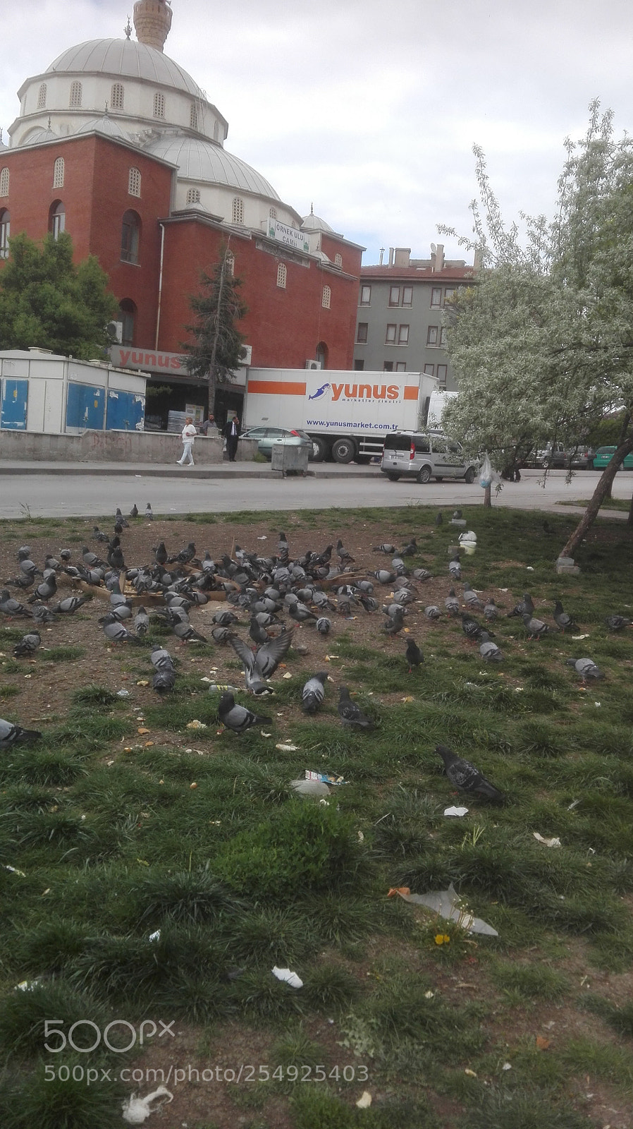 HUAWEI P8 Lite sample photo. Pigeons, mosque, and mall photography