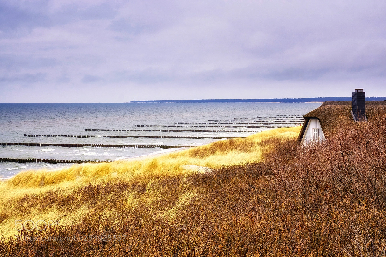 Sony a6000 sample photo. Buhnenreihe in ahrenshoop photography