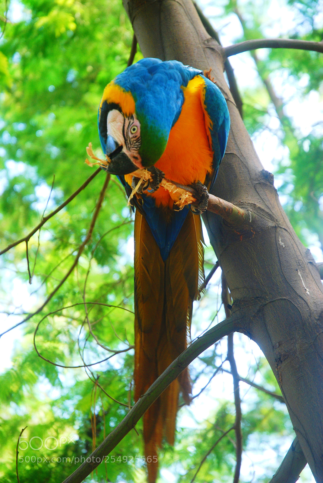 Nikon D40X sample photo. Untitled photography
