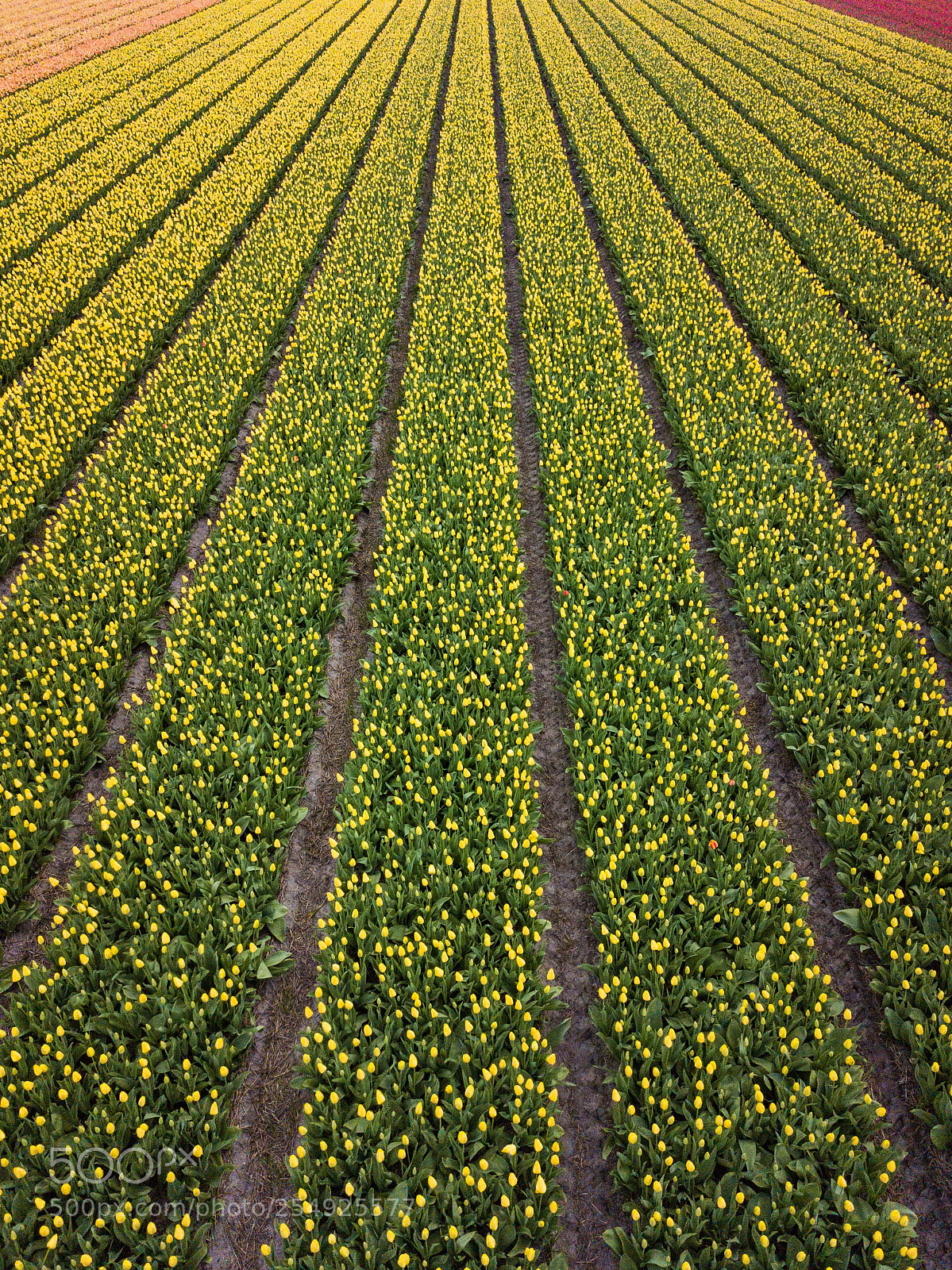 DJI FC220 sample photo. Untitled photography